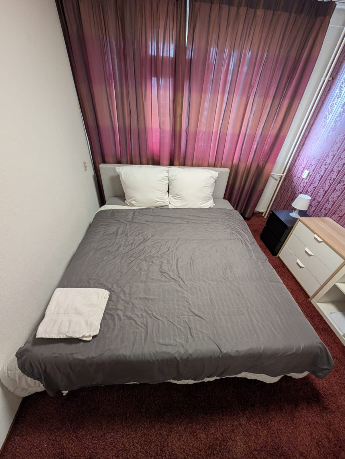 Bright room in Amsterdam Noord — All inclusive